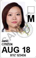 Example of the details shown on a Maritime Security Identification Card